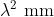 \\lambda^{2} \\mathrm{~mm}