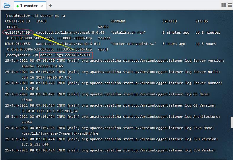 docker logs ec81487d7499