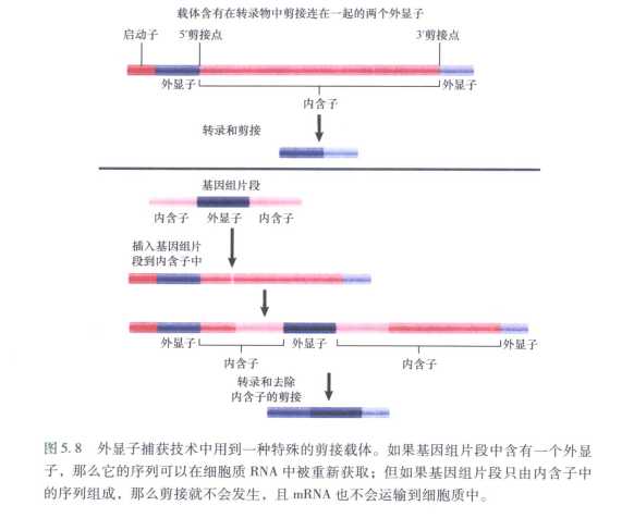 技术图片