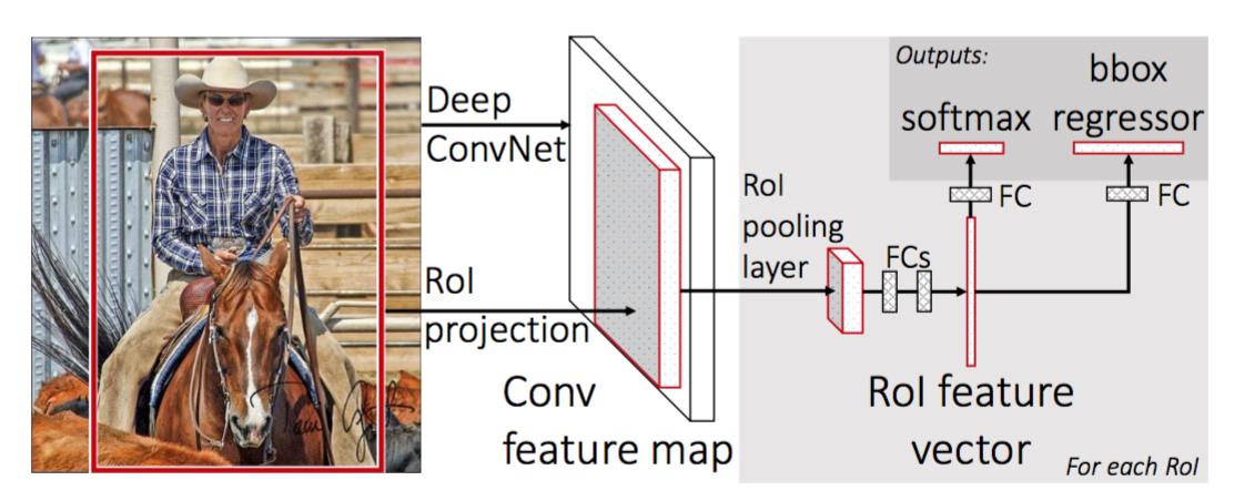 Fast R-CNN 的架构