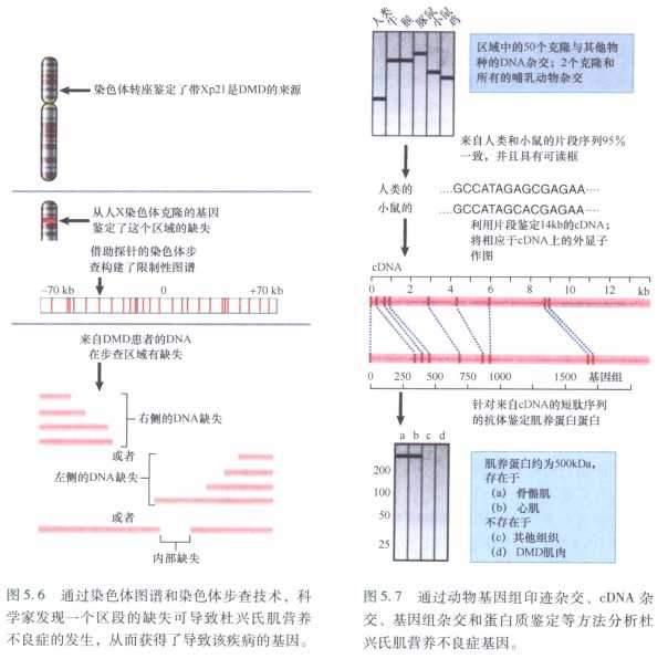 技术图片