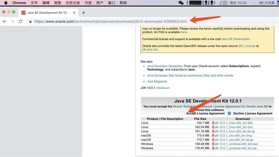 Oracle JDK12下载