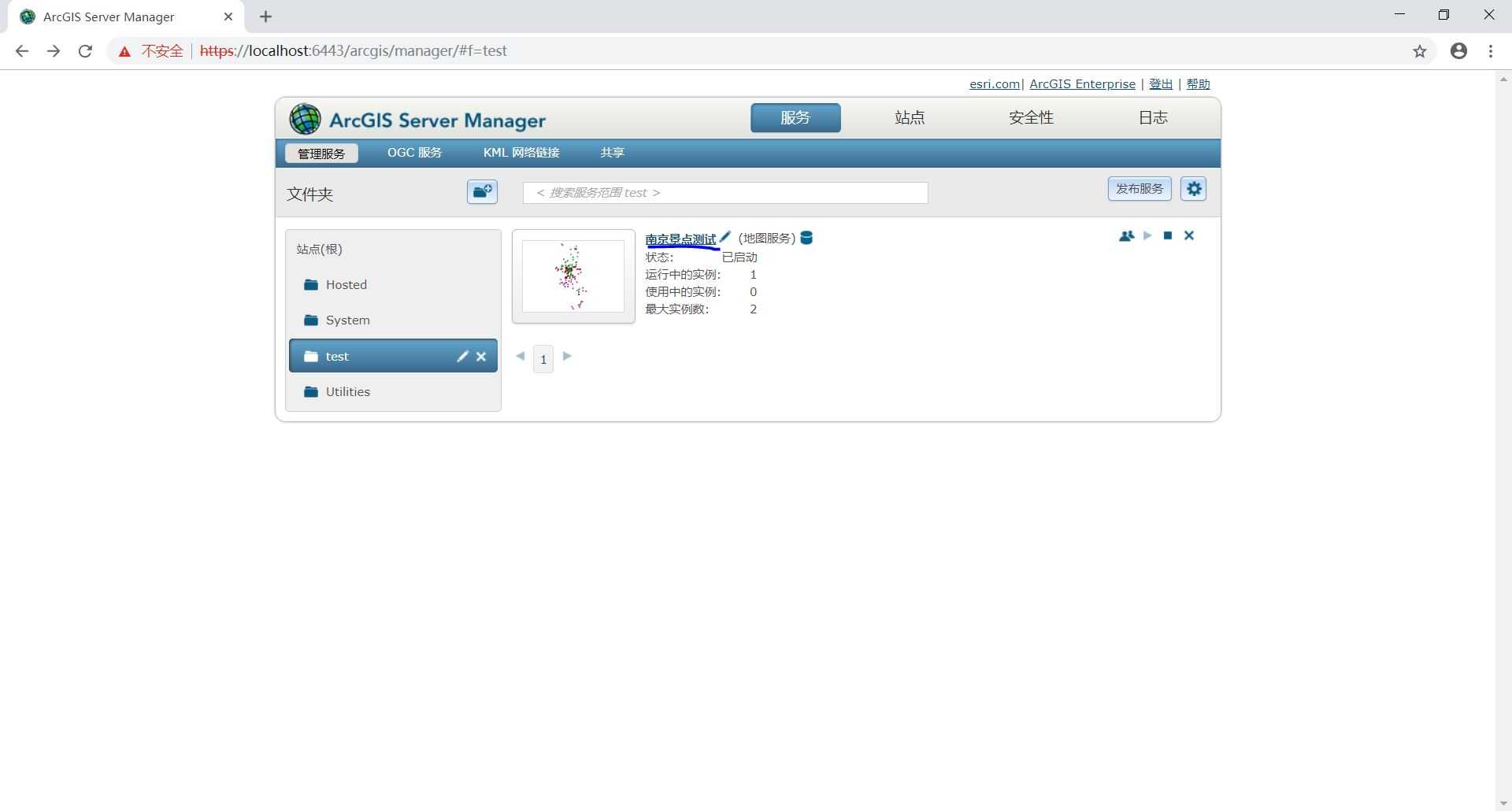 在ArcGIS Server Manager中进行查看