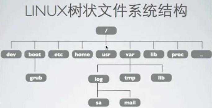 93-类的多态与多态性-2文件.jpg