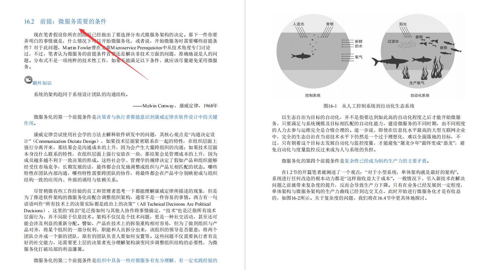 阿里内部第一本“凤凰架构”，手把手教你构建可靠大型分布式系统