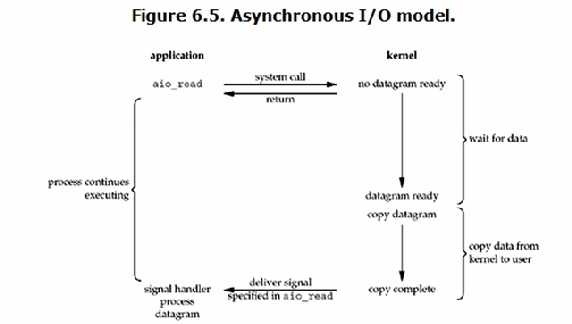 asynose