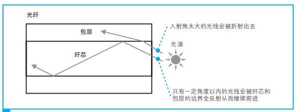 光信号的传导