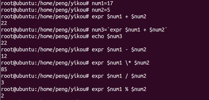 Linux入门-shell编程-适合小白