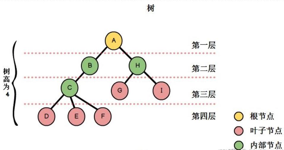 倒计时日历151天 P1036 熙熙爸的信息奥赛 深度优先搜索 DFS