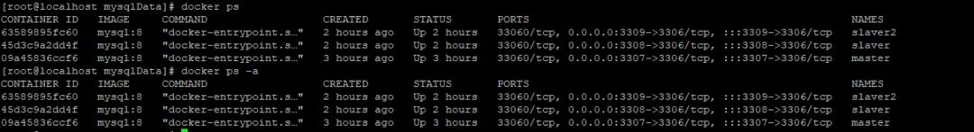 后端 | 基于Docker部署MySQL8集群（一主二从）