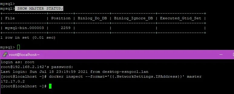 后端 | 基于Docker部署MySQL8集群（一主二从）