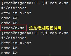 【10-1】做数据分析，要不要掌握Linux系列：shell编程之变量！