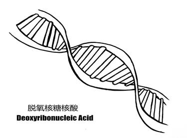 秒懂设计模式