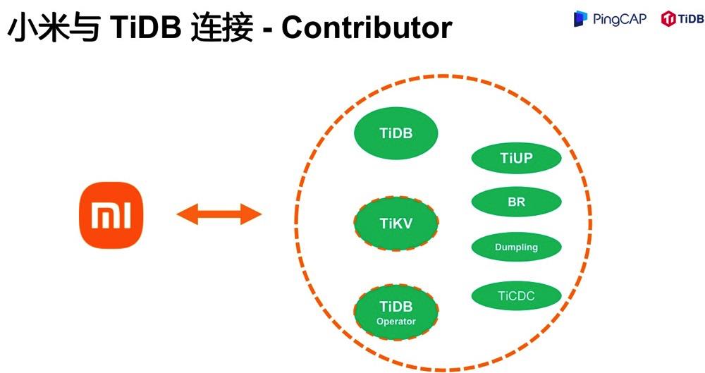 TiDB 在小米的落地及云原生探索丨PingCAP DevCon 2021 回顾