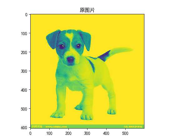 技术图片