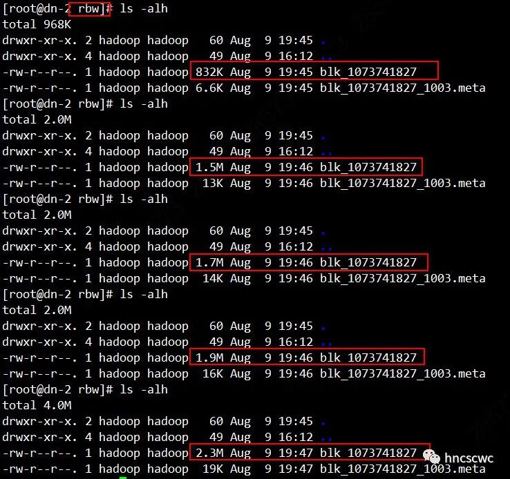 HDFS——写文件中的异常处理