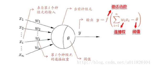 神经元