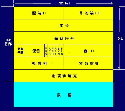 小白入门必备tcp协议解析