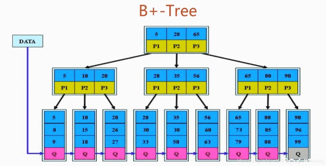 Mysql的索引为什么要使用B+树？