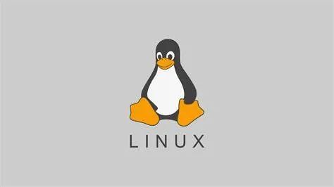 Linux系统如何设置开机自动运行脚本？