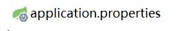 application.properties