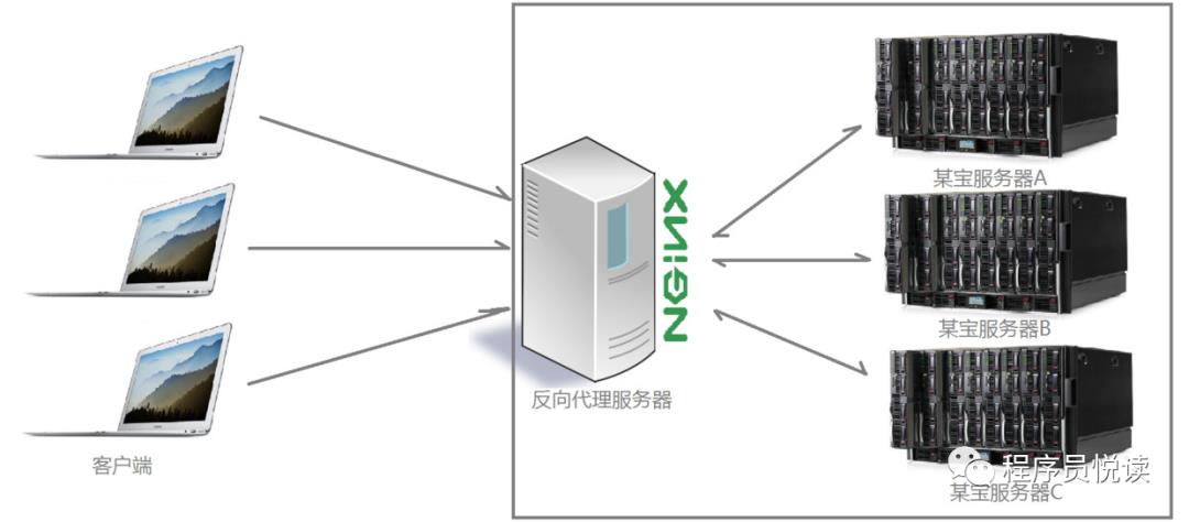 【Nginx笔记】Nginx的基本使用