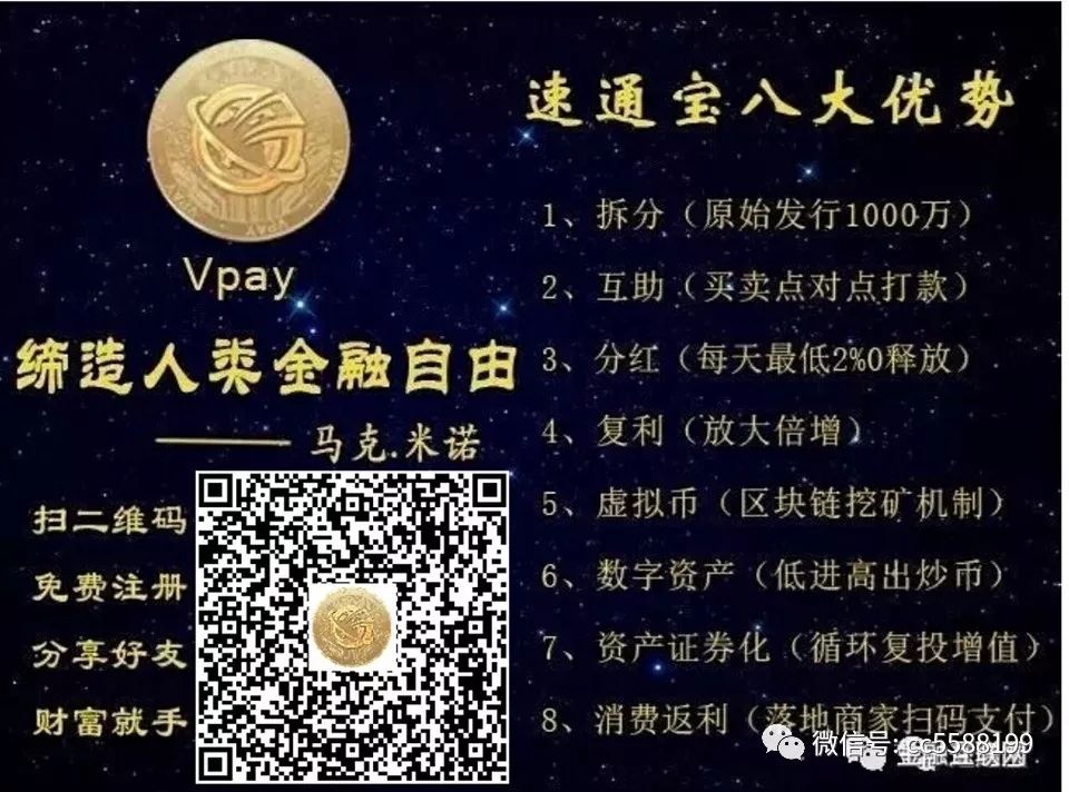 vpay【数字货币】 如何赚钱？