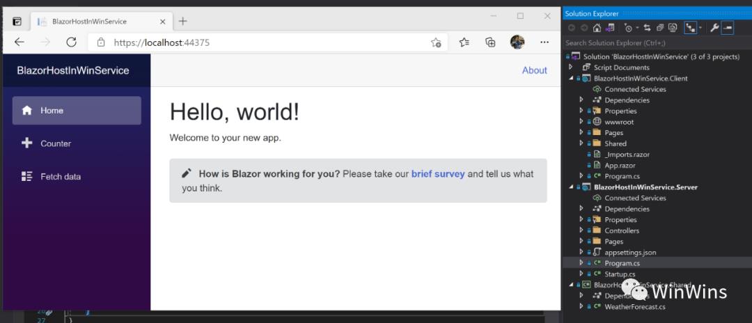 .NET 5学习笔记（11）—— Host Blazor WebAssembly in a Windows Service