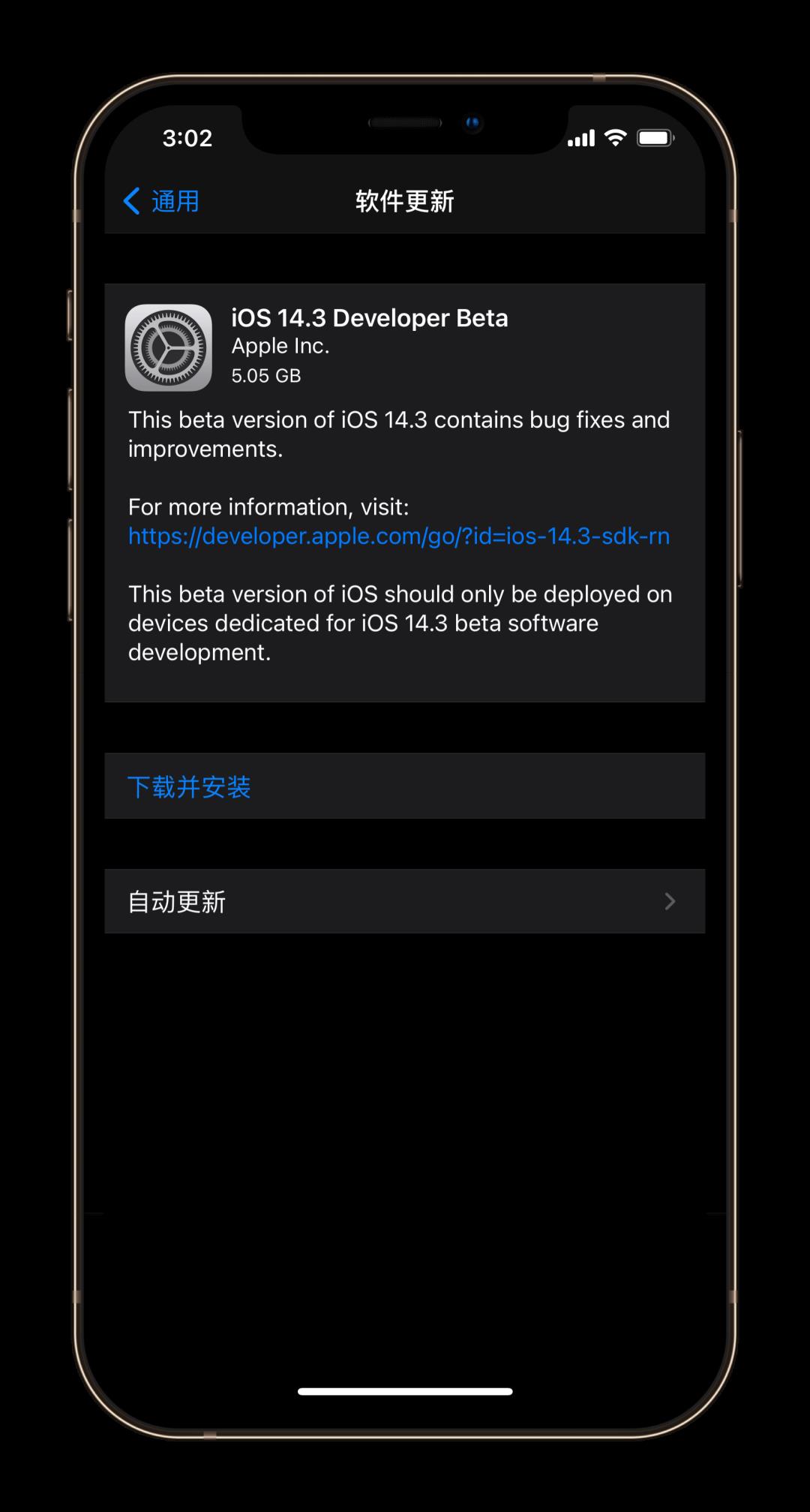 iOS 14.3 Beta、Big Sur正式版推送，出现疑似苹果头戴式耳机图标