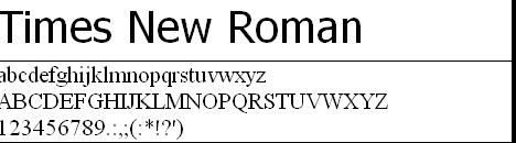 Times New Roman