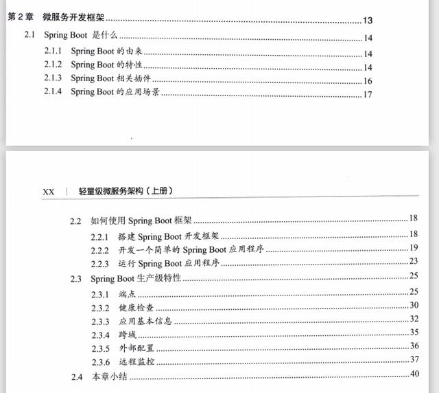 前阿里P8架构师良心出版《架构探险轻量级微服务架构上下册》PDF