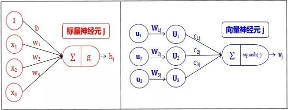 向量神经元的计算