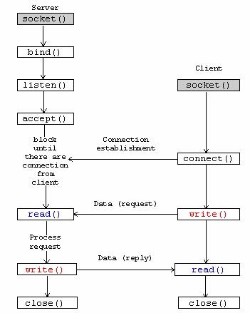 Socket 编程流程