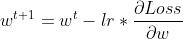 w^{t+1} = w^{t} - lr * frac{partial Loss}{partial w}