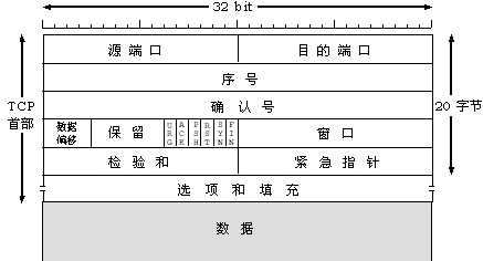 TCP报头