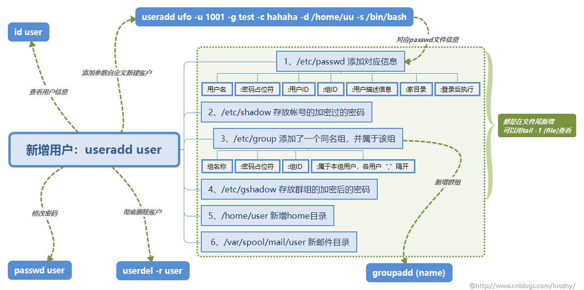 useradd详解