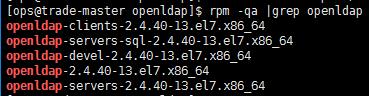 \'OpenLDAP2.4.40rpm安装和配置_配置文件\'
