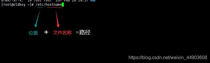 \'学习Linux运维的个人笔记：Linux目录结构及文件路径定位（五）_linux_03\'