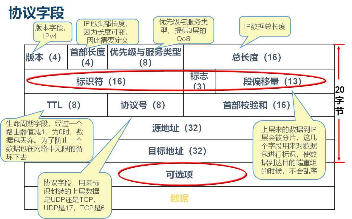 \'网络--办公网线布局，网络层协议与应用，广播和广播域概述，ARP协议，ICMP，ping_ARP_03\'