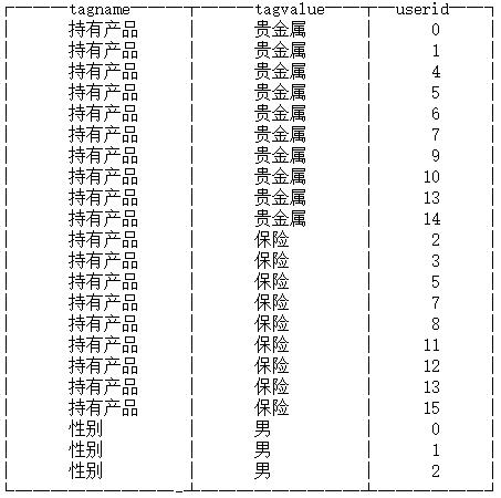 \'我用MRS-ClickHouse构建的用户画像系统，让老板拍手称赞_用户画像_09\'