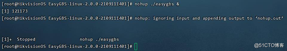 \'Linux系统环境下通过命令启动EasyGBS播放FLV视频流，为何失败了？_播放视频_04\'