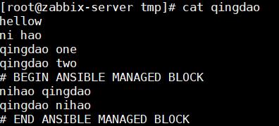 \'二、ansible基础模块介绍_ansible_11\'