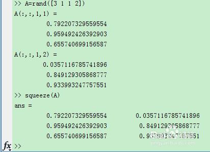 matlab常用函数之squeeze函数