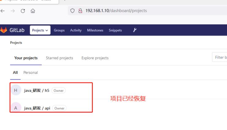 Gitlab备份恢复_gitlab_03