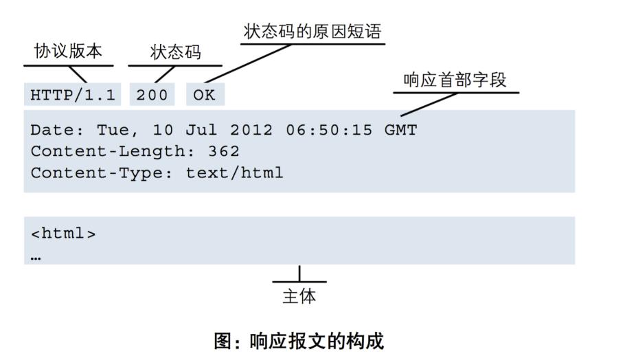 #yyds干货盘点#--http协议&html常用标签_服务器_03