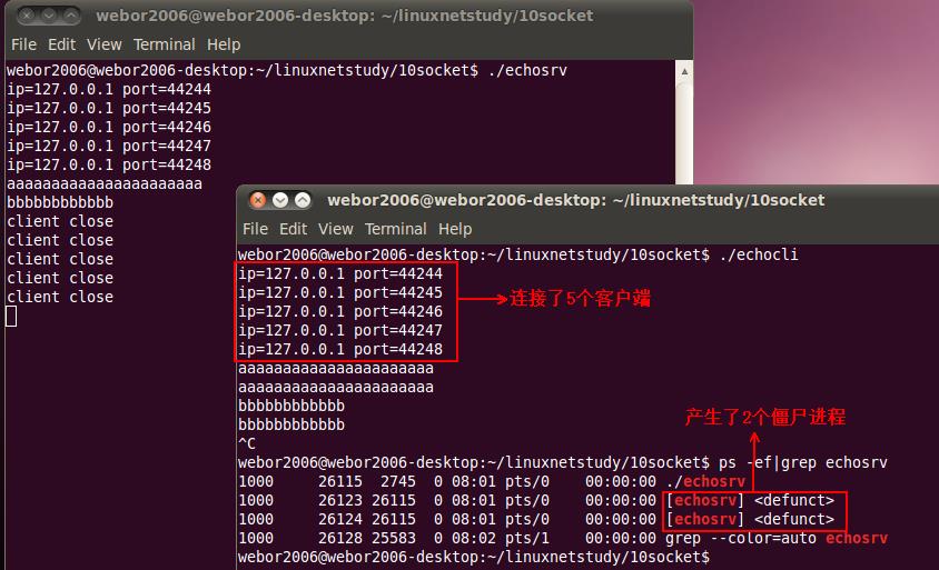 linux网络编程之socket编程(六)_#include_20