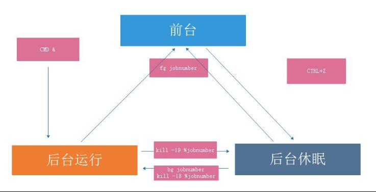 #yyds干货盘点#进程管理信号和前后台执行_配置文件_23