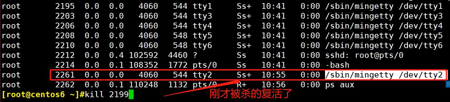 #yyds干货盘点#进程管理信号和前后台执行_配置文件_14