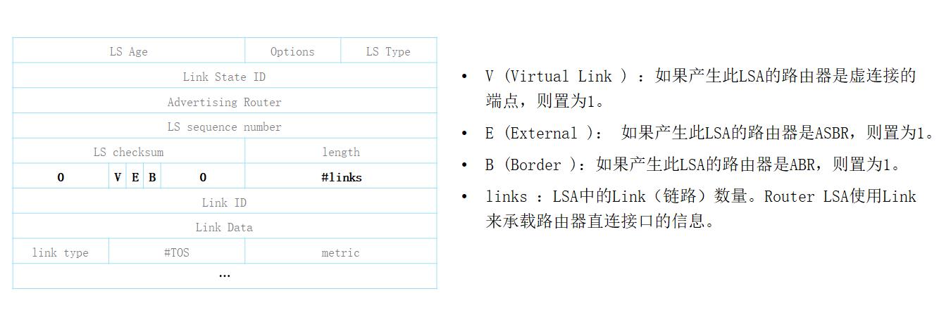 OSPF路由计算及12类LSA详解_路由表_05