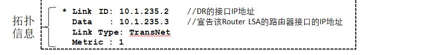 OSPF路由计算及12类LSA详解_邻接关系_12